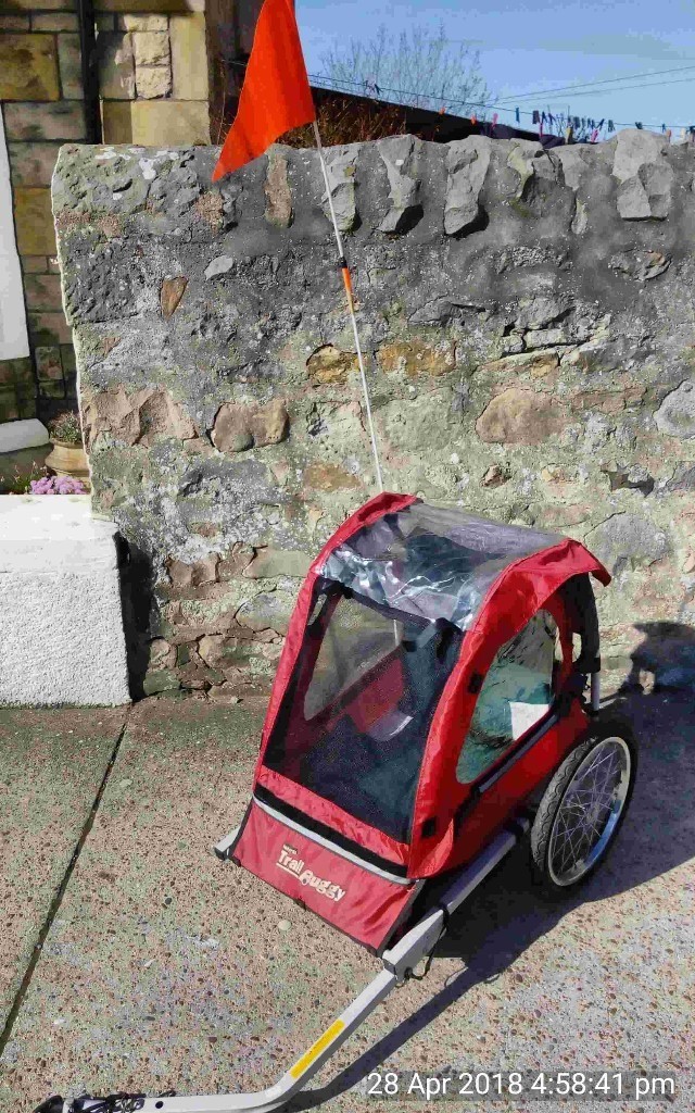 trail buggy bike trailer